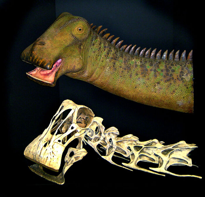 The Nigersaurus, Or "Lawnmower Dinosaur". It Was The Suburban Dad Of The Dinosaur World.