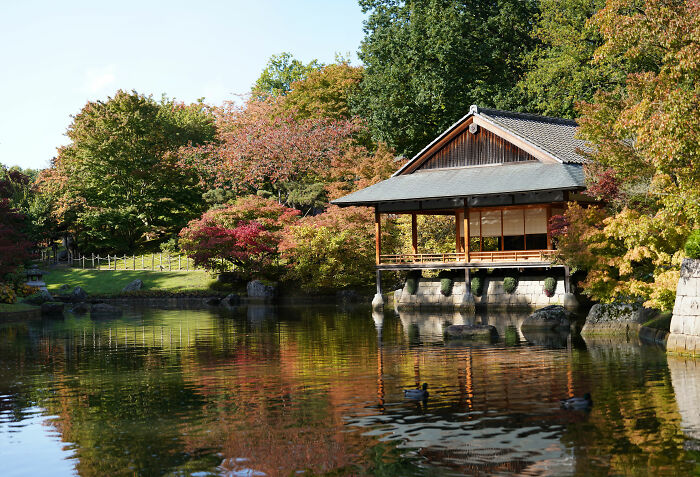 Fall At The Japanse Gardens In Belgium
