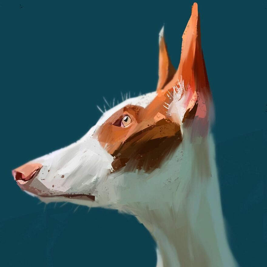 Artist Expresses The True Essence Of Dogs In Fun Caricatures (63 Pics)