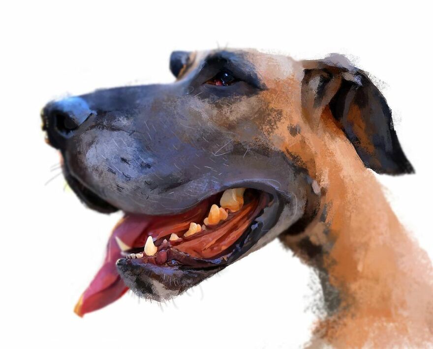 Artist Expresses The True Essence Of Dogs In Fun Caricatures (63 Pics)