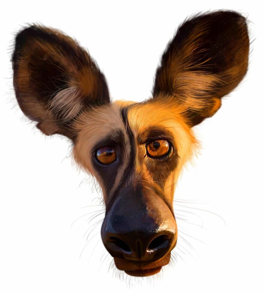 Artist Expresses The True Essence Of Dogs In Fun Caricatures (63 Pics)