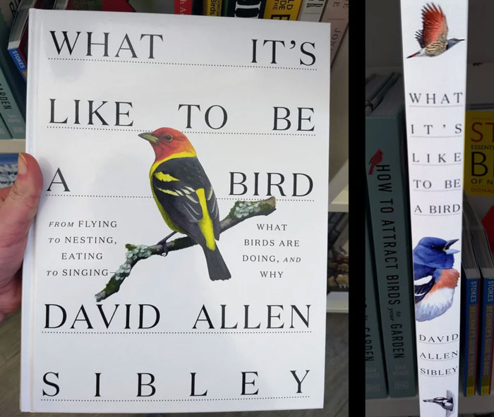 I Thought The Spine Was Bad But Then There Was The Cover