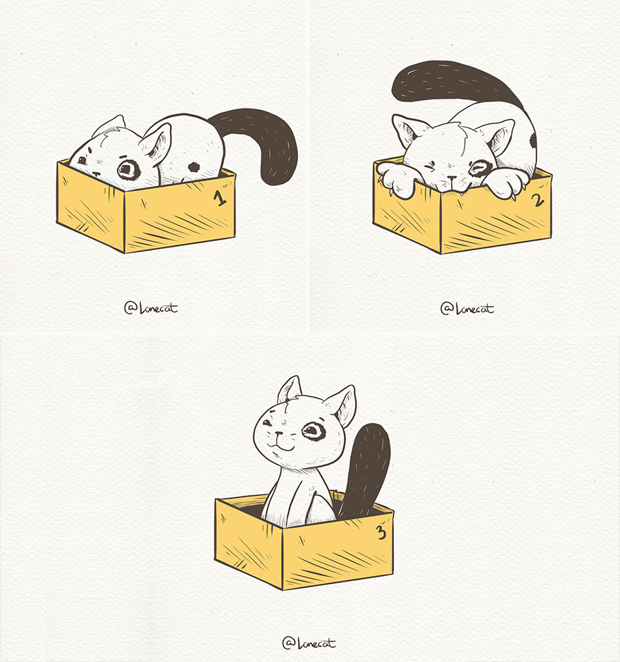 Which One Are You Today? Box 1, 2 Or 3?