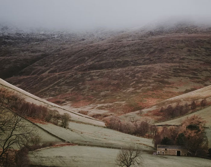 30 Of The Best Responses To Jerks Telling Someone To 'Go Back To Your Own Country'