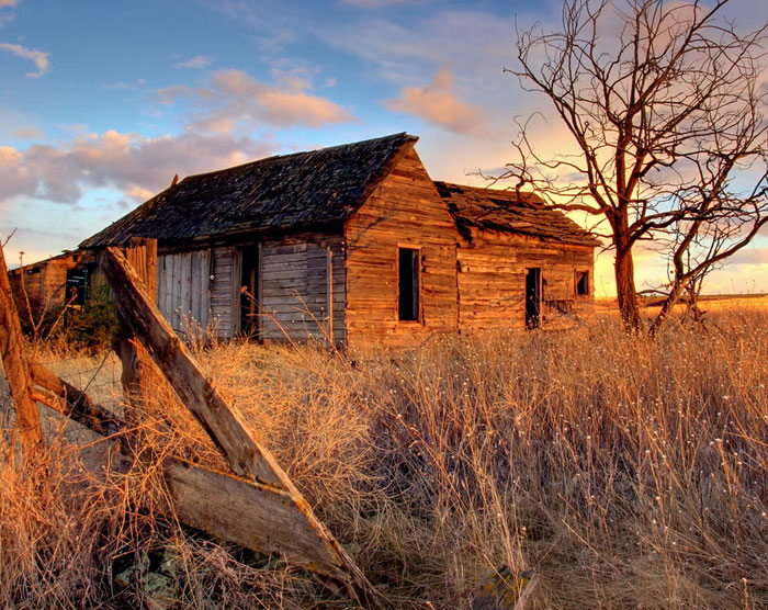 25 De las mejores respuestas a los idiotas que dicen "vuélvete a tu país"