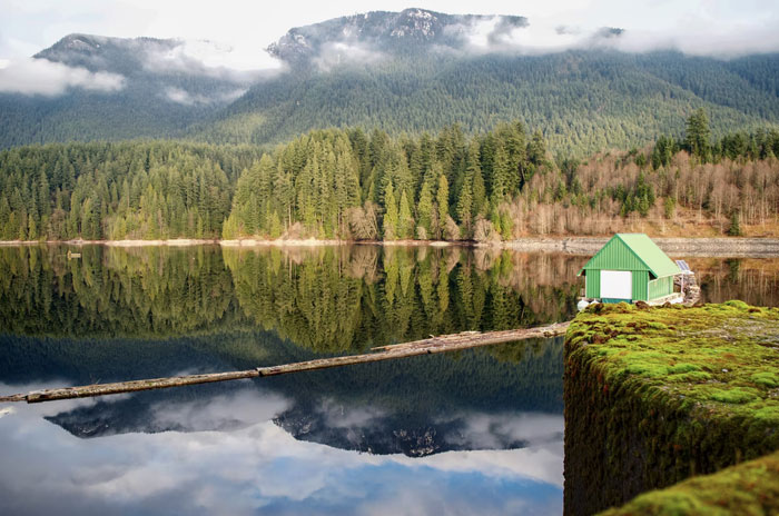 25 De las mejores respuestas a los idiotas que dicen "vuélvete a tu país"