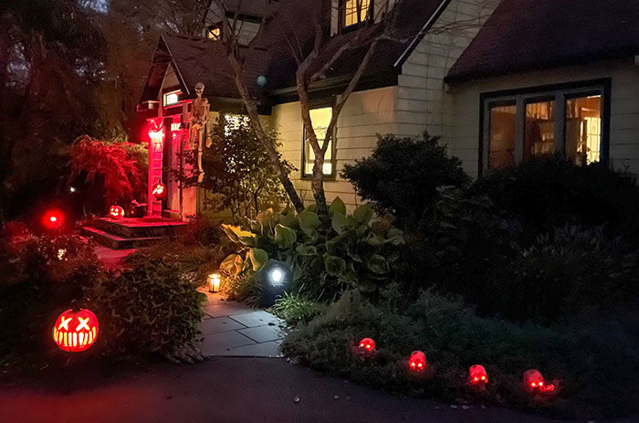 First Halloween In My New Neighborhood And Didn’t Get A Single Trick Or Treater