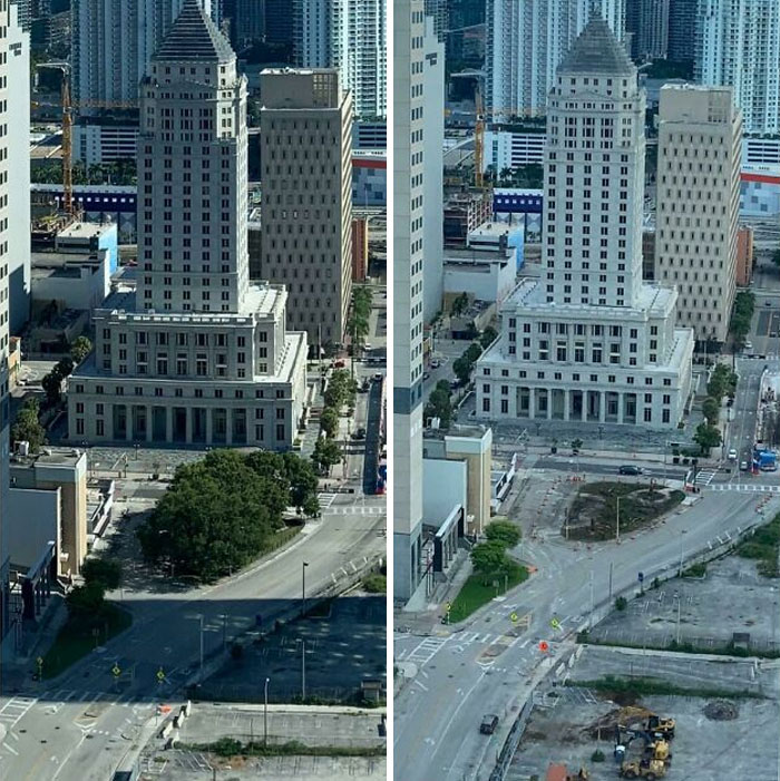 My City Decided It Didn’t Want These Trees Anymore