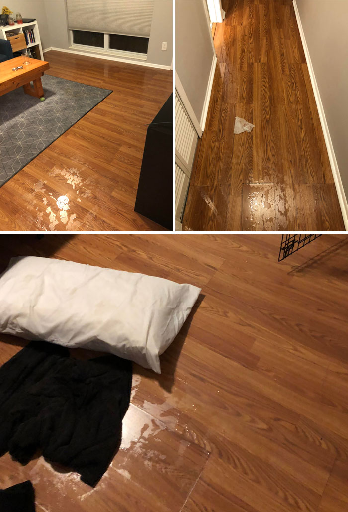 You Know What Doesn’t Mix? Sleepwalking And Wanting A Bath… FML