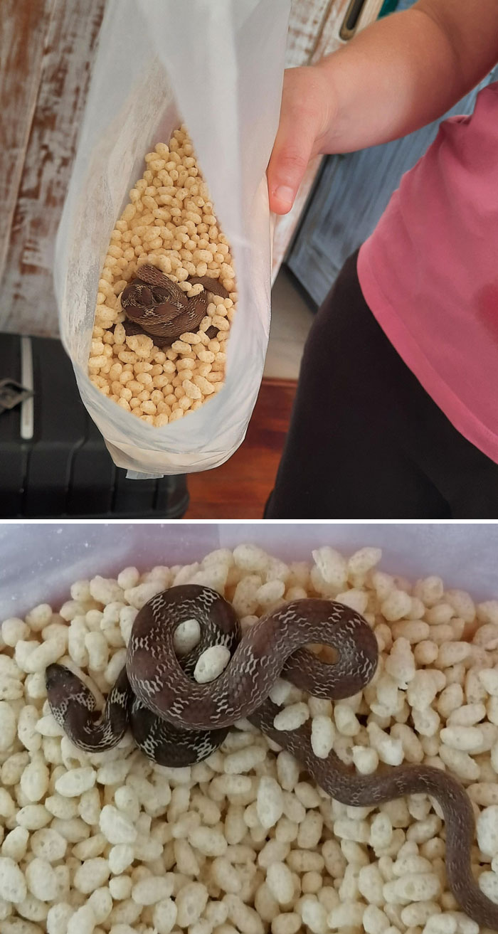 Guess It's Toast For Breakfast Today