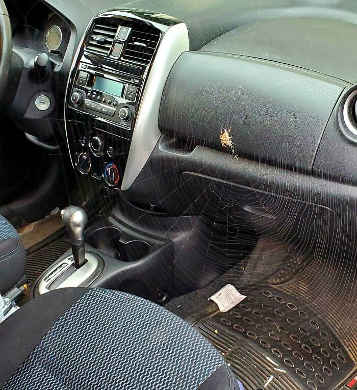 This Is How My Morning Started. Wtf