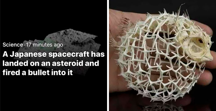 ‘Bad Science Jokes’: 50 Nerdy Posts That Are So Bad, They’re Actually Good (New Pics)