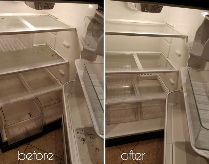 Before and after fridge cleaning showing a dirty refrigerator transformed into a spotless and organized space people share cleaning up.