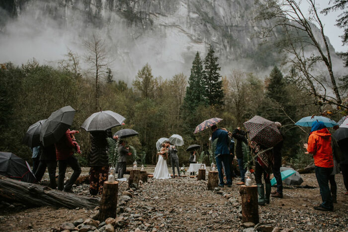 Outdoor wedding ceremony with guests holding umbrellas in a forest setting, featured in wedding photographer competition.