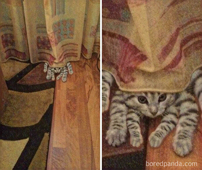 El Gato Araña, el profanador de pies