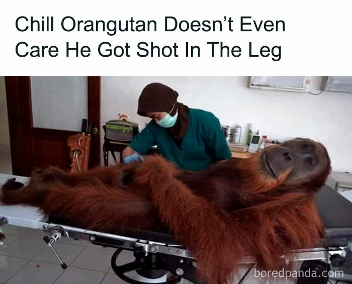 Chillicus, The Lord Of Idongivafuch