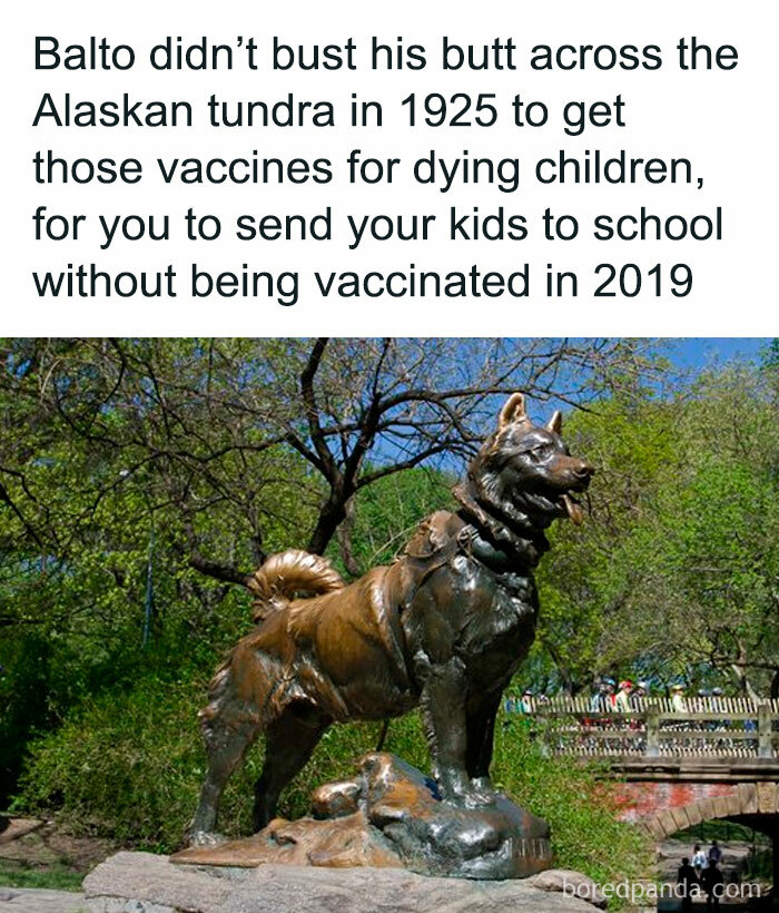 Balto, The Anti-Vaxx Destroyer