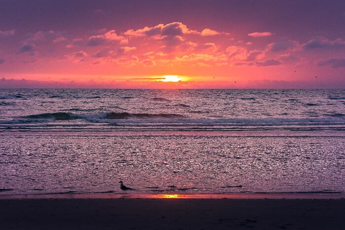 Cheesy Sunset In Denmark :-)