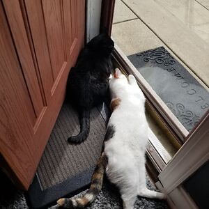 nickandbraydon avatar