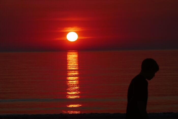 Beach Of Tornby, Denmark, 2020