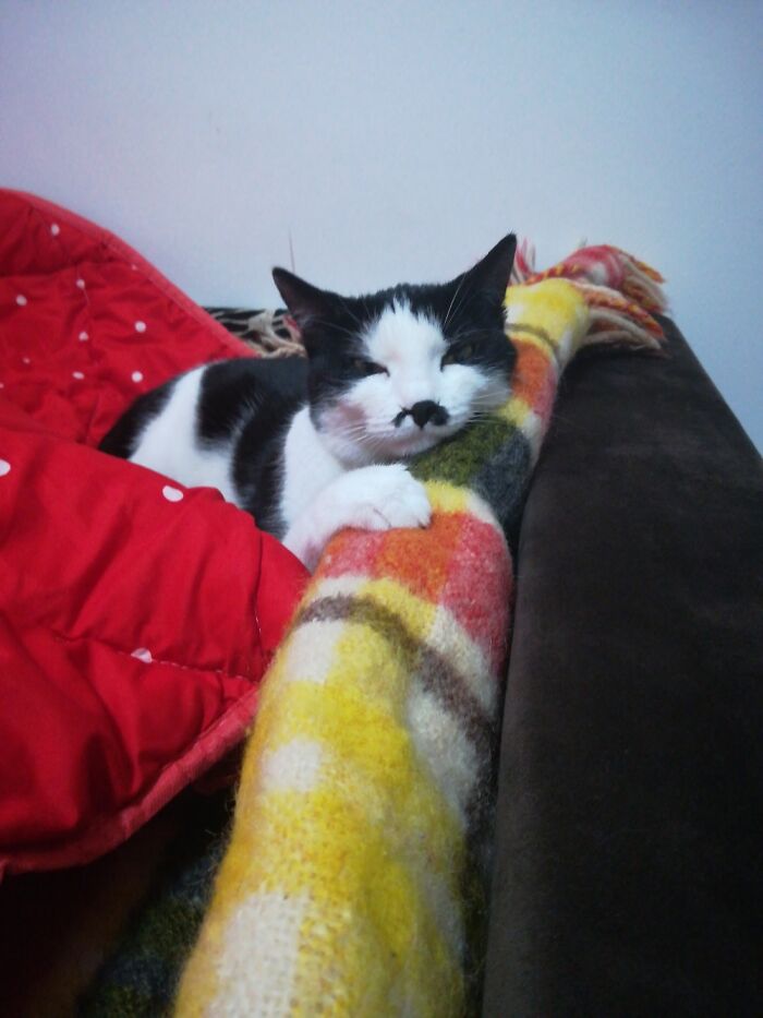 I Rest, Do Not Bother Me! ;)