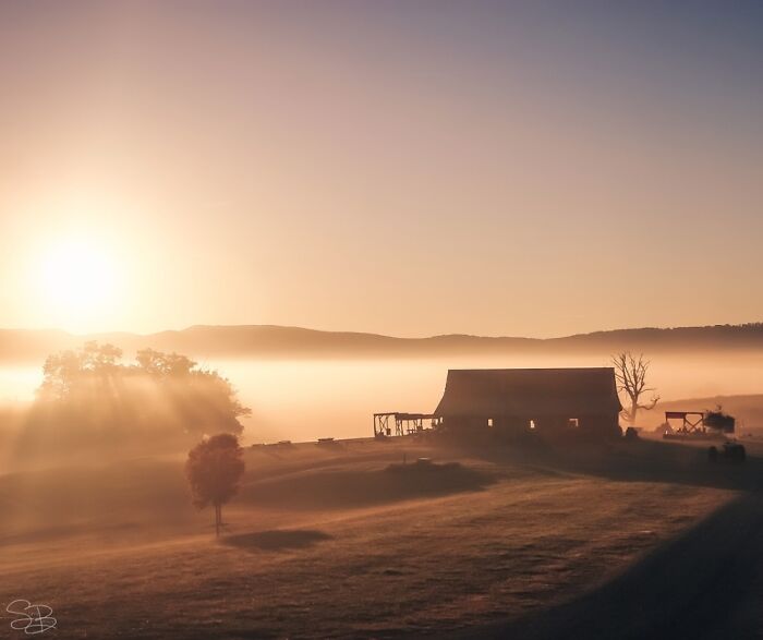 Early Morning Fog In Virginia