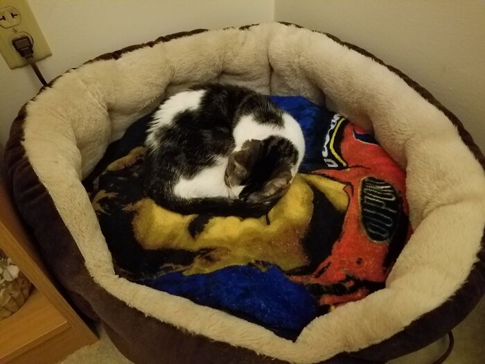 So Tiny In The Big Bed