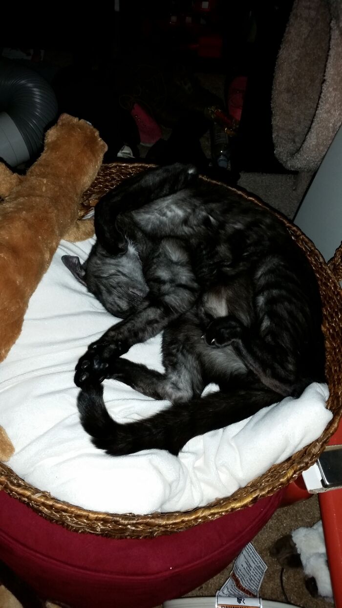 I Don't Know How This Can Be Comfortable.