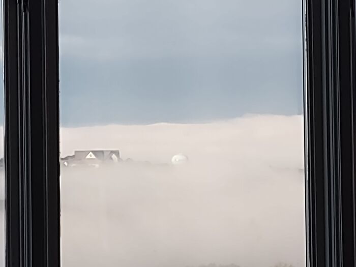 Fog From My Second Story Window On Sunday