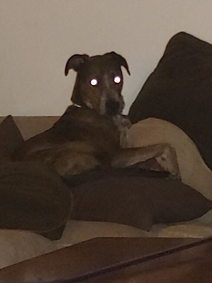 He Has Risen. All Hail Wally.