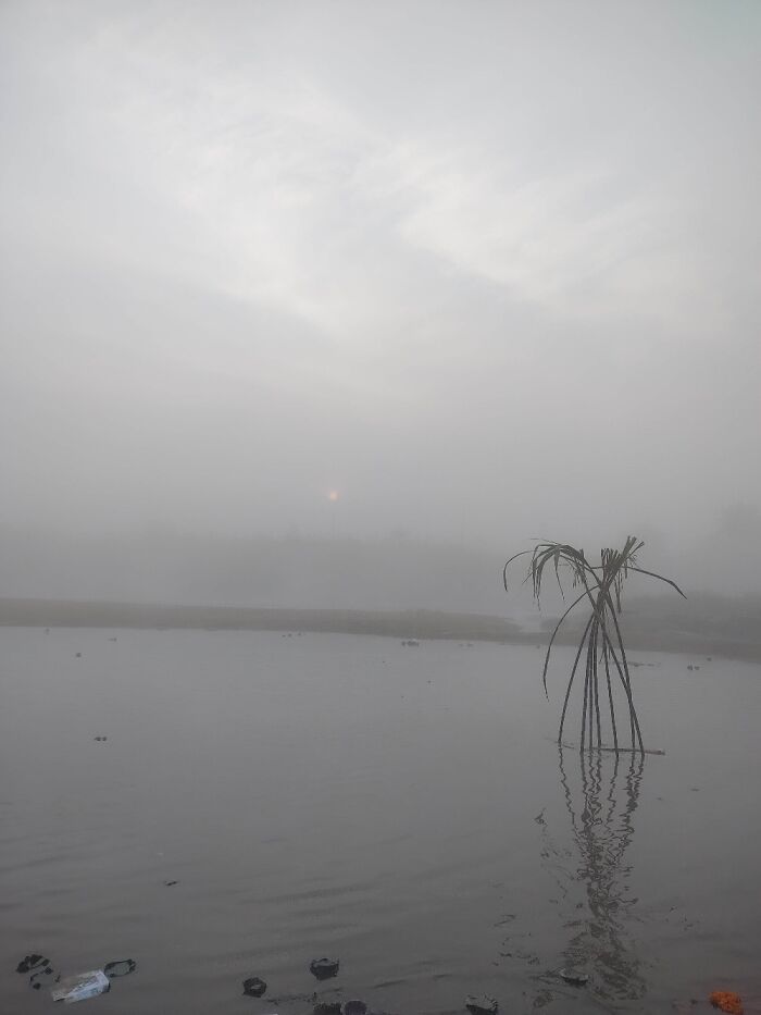 Happy Chhath Puja...