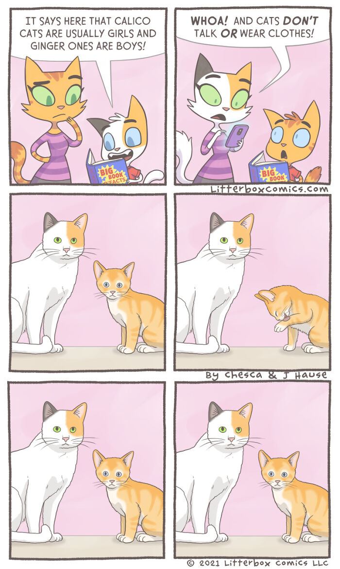 Comic panels showing cats discussing calico and ginger cat facts, illustrating a parenting experience with a feline twist.