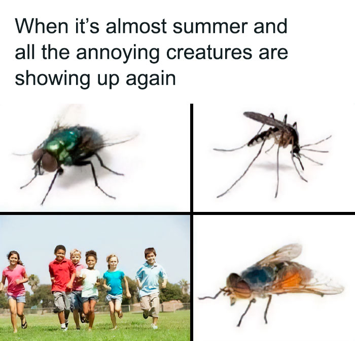 It’s Almost Summer!