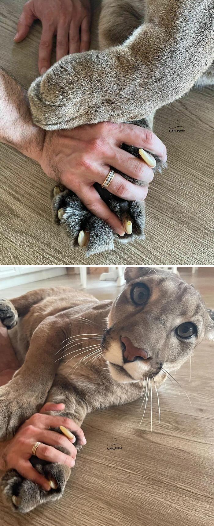 Messi y sus grandísimas manoplas asesinas