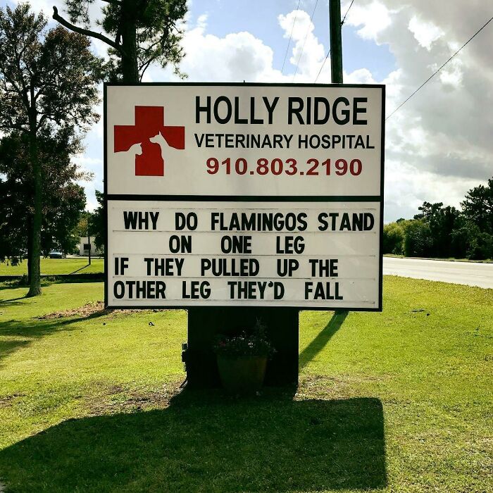 Funny-Outdoor-Signs-Holly-Ridge-Veterinary-Hospital