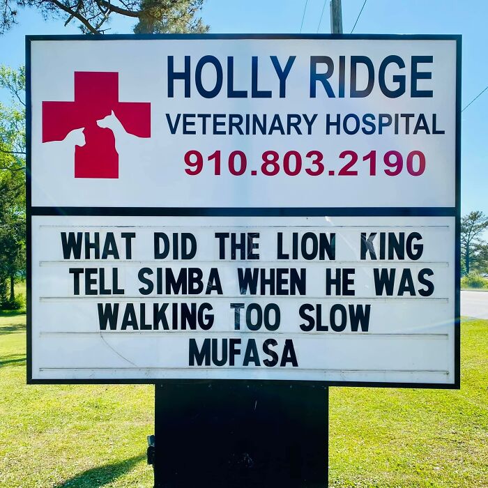 Funny-Outdoor-Signs-Holly-Ridge-Veterinary-Hospital