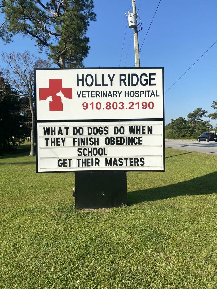 Funny-Outdoor-Signs-Holly-Ridge-Veterinary-Hospital