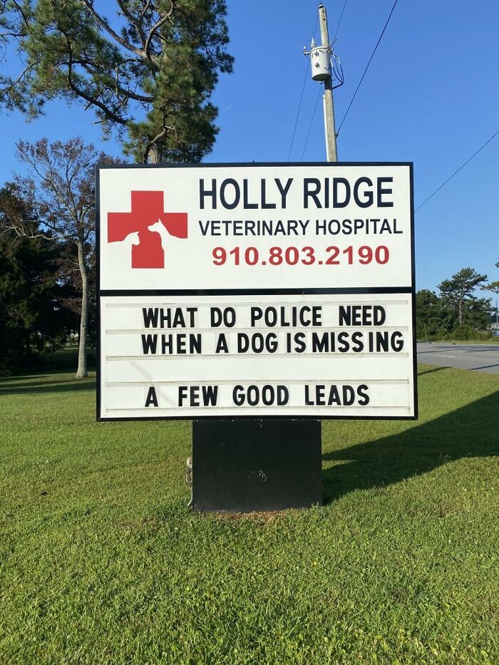 Funny-Outdoor-Signs-Holly-Ridge-Veterinary-Hospital