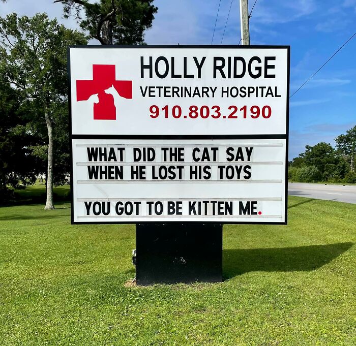 Funny-Outdoor-Signs-Holly-Ridge-Veterinary-Hospital