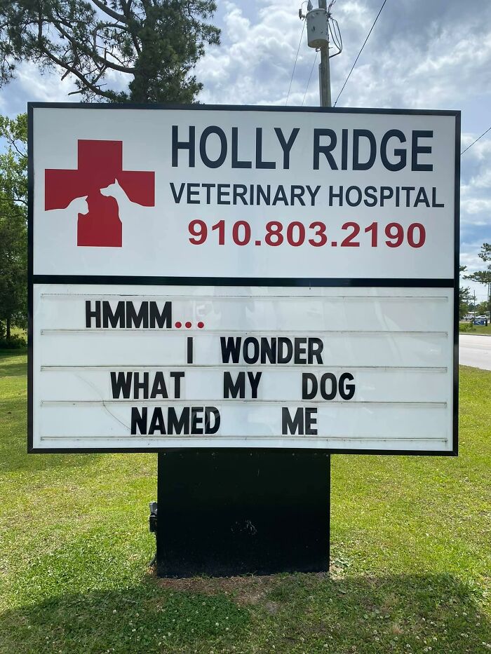 Funny-Outdoor-Signs-Holly-Ridge-Veterinary-Hospital