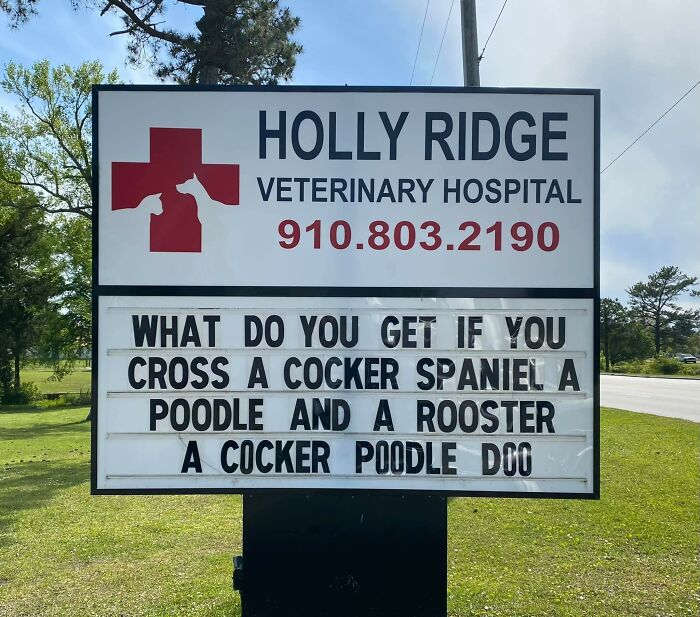 Funny-Outdoor-Signs-Holly-Ridge-Veterinary-Hospital