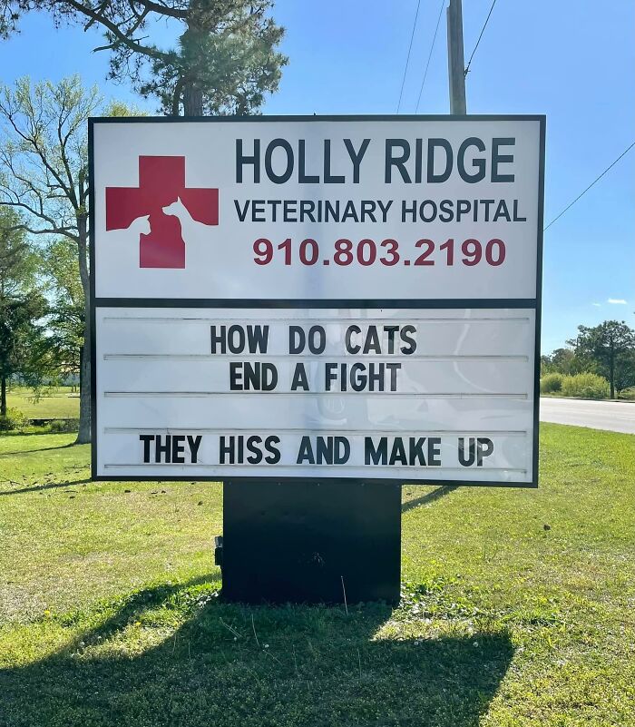 Funny-Outdoor-Signs-Holly-Ridge-Veterinary-Hospital
