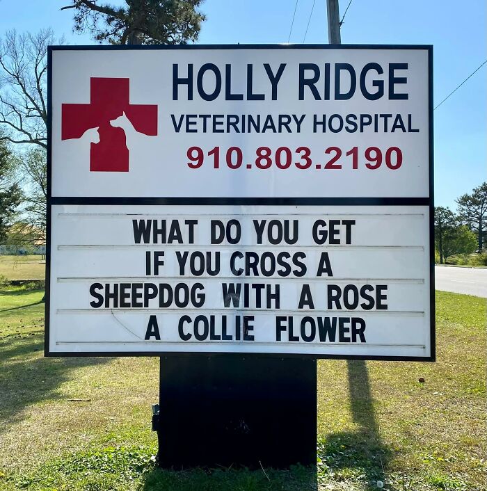 Funny-Outdoor-Signs-Holly-Ridge-Veterinary-Hospital