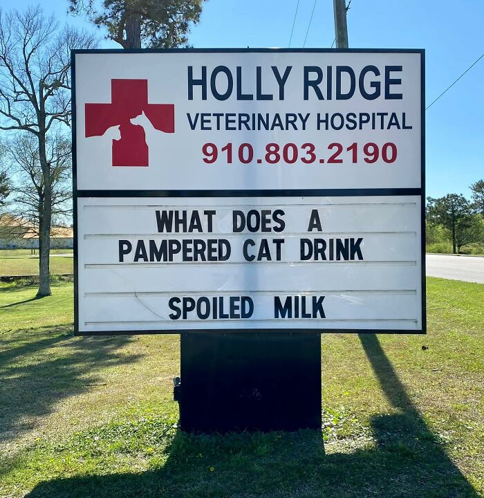 Funny-Outdoor-Signs-Holly-Ridge-Veterinary-Hospital