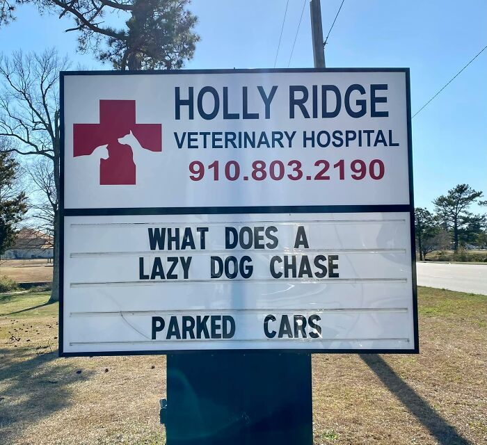 Funny-Outdoor-Signs-Holly-Ridge-Veterinary-Hospital