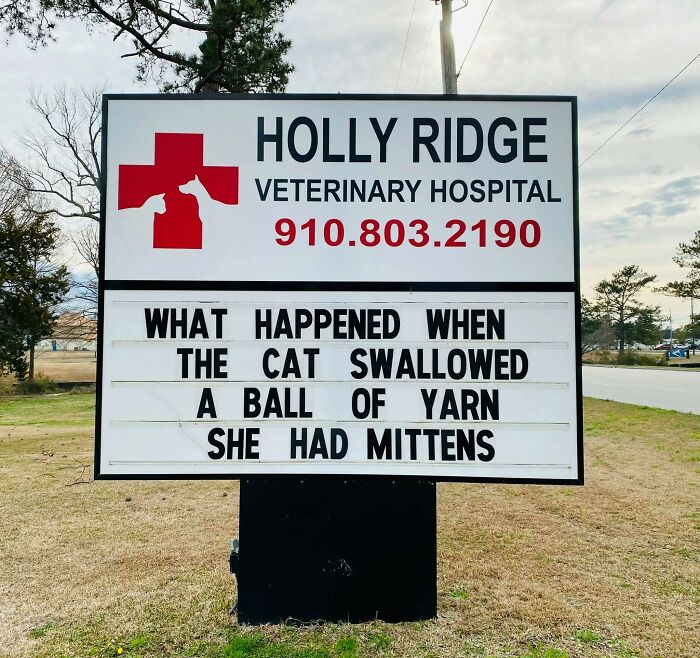 Funny-Outdoor-Signs-Holly-Ridge-Veterinary-Hospital