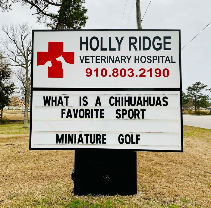 Funny-Outdoor-Signs-Holly-Ridge-Veterinary-Hospital