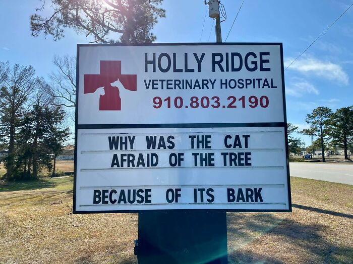 Funny-Outdoor-Signs-Holly-Ridge-Veterinary-Hospital