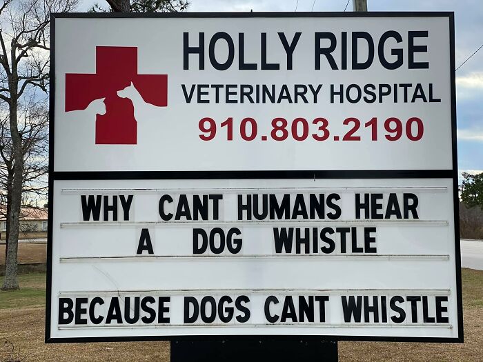Funny-Outdoor-Signs-Holly-Ridge-Veterinary-Hospital