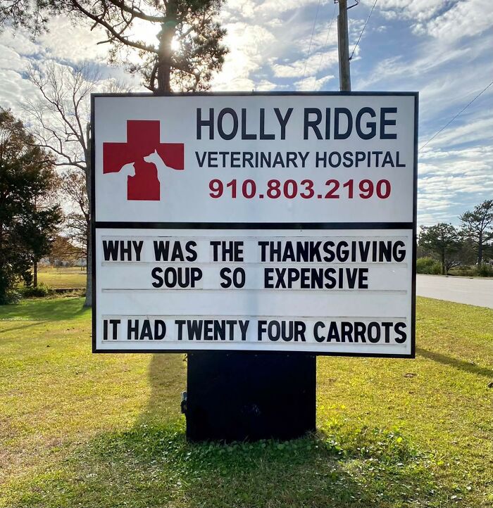 Funny-Outdoor-Signs-Holly-Ridge-Veterinary-Hospital